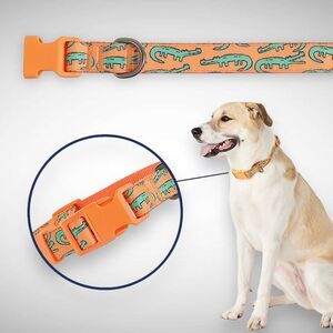 Top Paw Alligator Orange Graphic Print‎ Adjustable Dog Collar Size X-Small XS